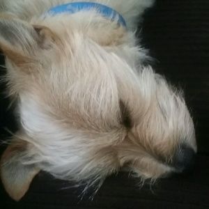 Meet your Posher, Erica